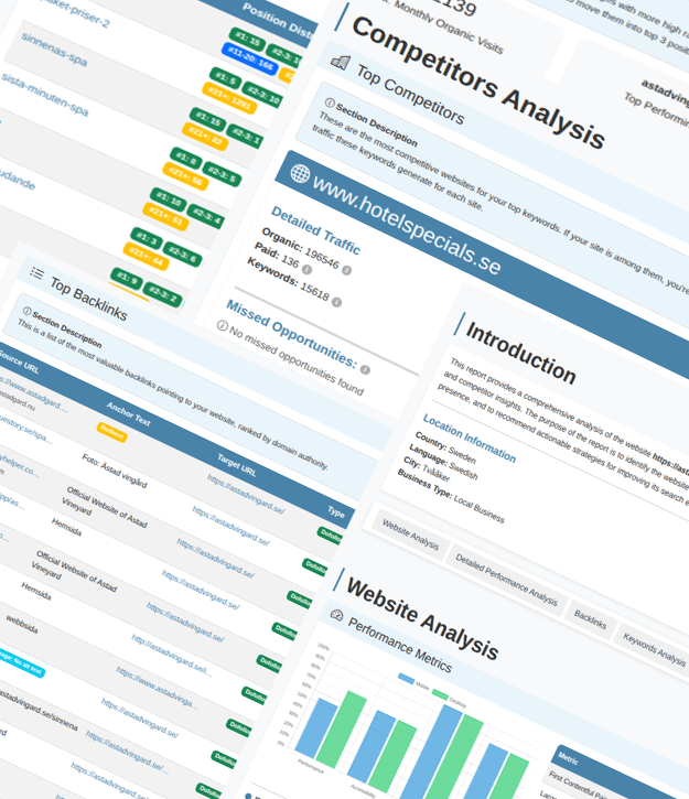 Professional SEO website audit analysis report
